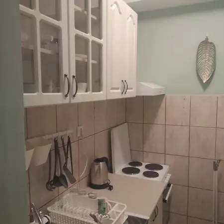 Central Apartament *